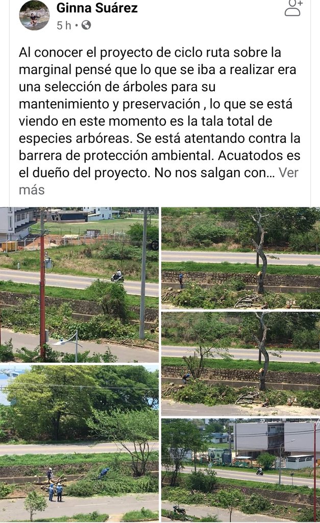 ArgeideC's tweet photo. Señores @Corporinoquia
@SEDAGRICULCASAN @alcaldiadeyopal Quien autoriza esta tala descontrolada y brutal??  @El_NuevoOriente @chivasdelllano @SHAOLINSANYOPAL @Jmmedios @DiarioDelLlano @DiariodeCas https://t.co/uEVzbnjVJ1 https://t.co/WtHRCixz4M