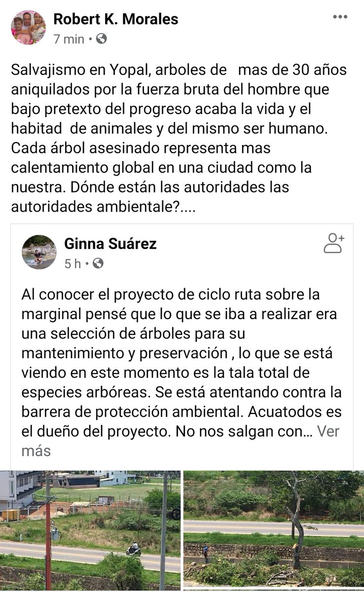 ArgeideC's tweet photo. Señores @Corporinoquia
@SEDAGRICULCASAN @alcaldiadeyopal Quien autoriza esta tala descontrolada y brutal??  @El_NuevoOriente @chivasdelllano @SHAOLINSANYOPAL @Jmmedios @DiarioDelLlano @DiariodeCas https://t.co/uEVzbnjVJ1 https://t.co/WtHRCixz4M