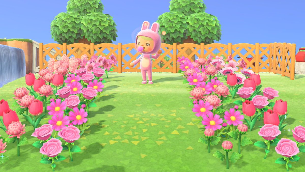 If you wanna just come visit that’s fine too! Please help me water my red roses to the left of resident services and my pink hybrids to the right of my home 