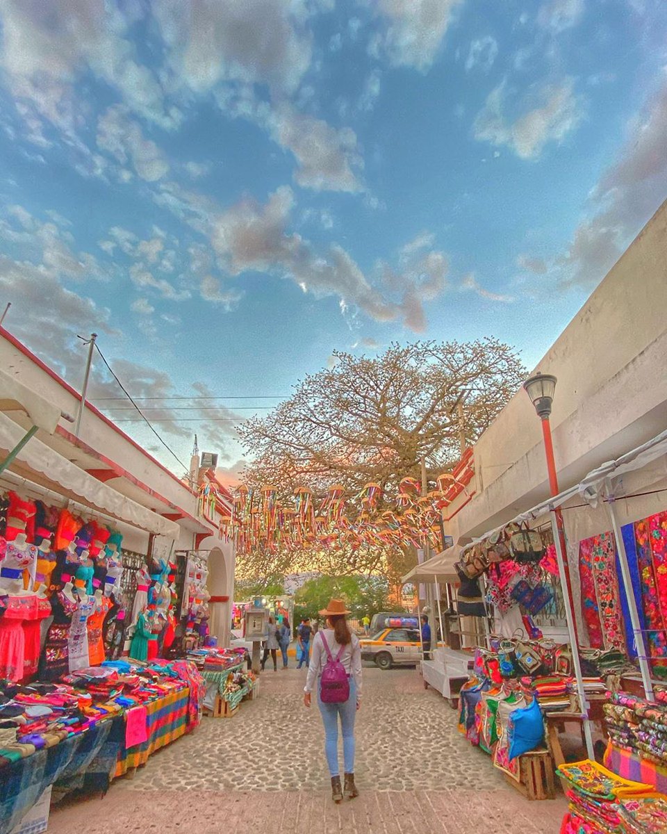 Visit Chiapas App tweet media