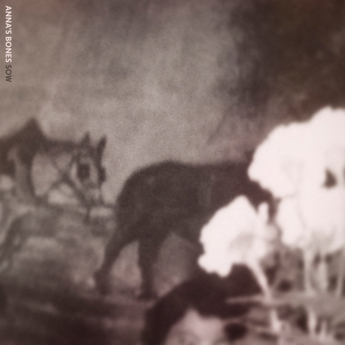 Anna’s Bones (@annasbones1) on Twitter photo Happy to say we will be releasing our debut single Sow on May 1st. Produced and recorded by the wonderful <a href="/TobyKidd001/">Toby Kidd 001</a> at Bark Studios. Happy to say we will be releasing our debut single Sow on May 1st. Produced and recorded by the wonderful <a href="/TobyKidd001/">Toby Kidd 001</a> at Bark Studios.