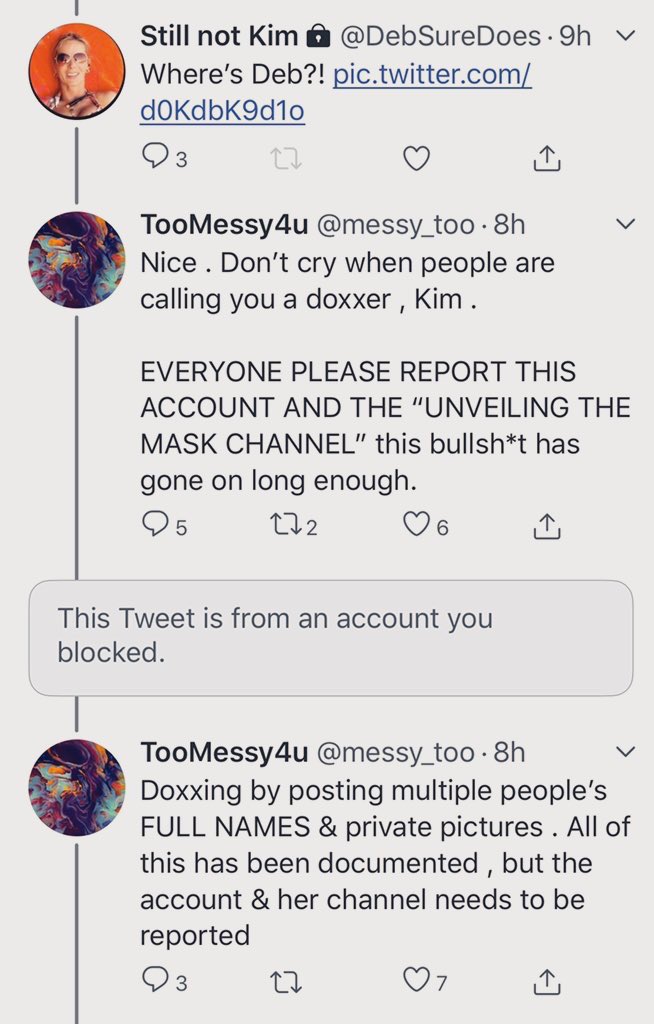 Here Leslie’s Messy “friend” is referring to the account “Still not Kim” as me and calling out for a mass flagging if my channel