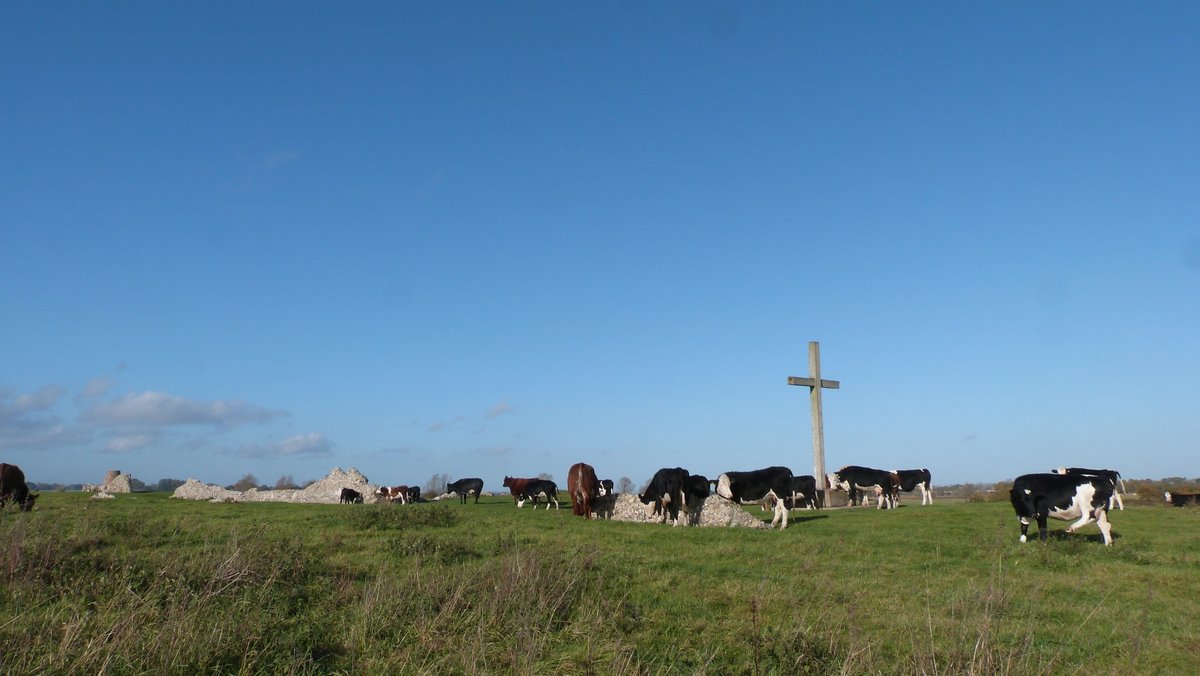 ho ho of course not. that is just a little jiggery-pokery on my part. it's the one with the windmill plonked in the gate house and very little left of the church, or much of anything else in fact, except some rather inquisitive cattle