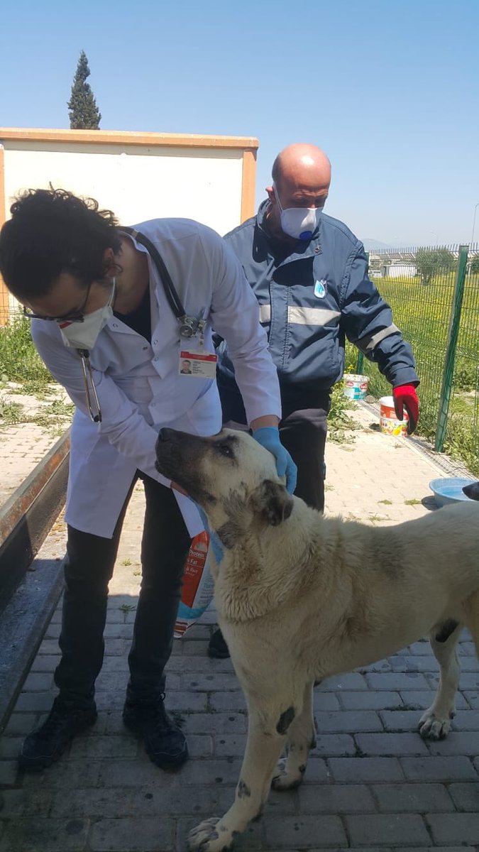 #DünyaVeterinerHekimlerGünü
#bizkimiz
#benbirveterinerhekimim
#bizveterinerhekimiz
#veterinerhekim
#teksaglik