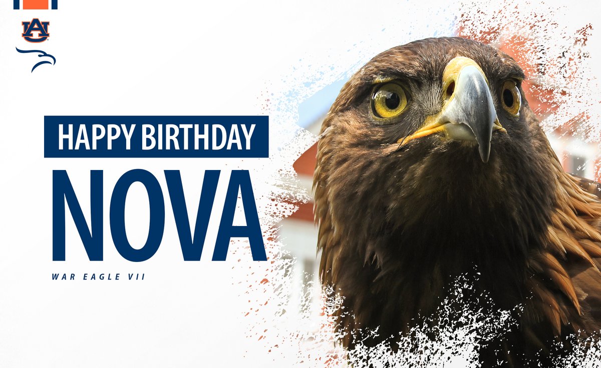 WarEagle's tweet photo. RT to wish Nova a Happy Birthday! https://t.co/2v3Iw5O55n
