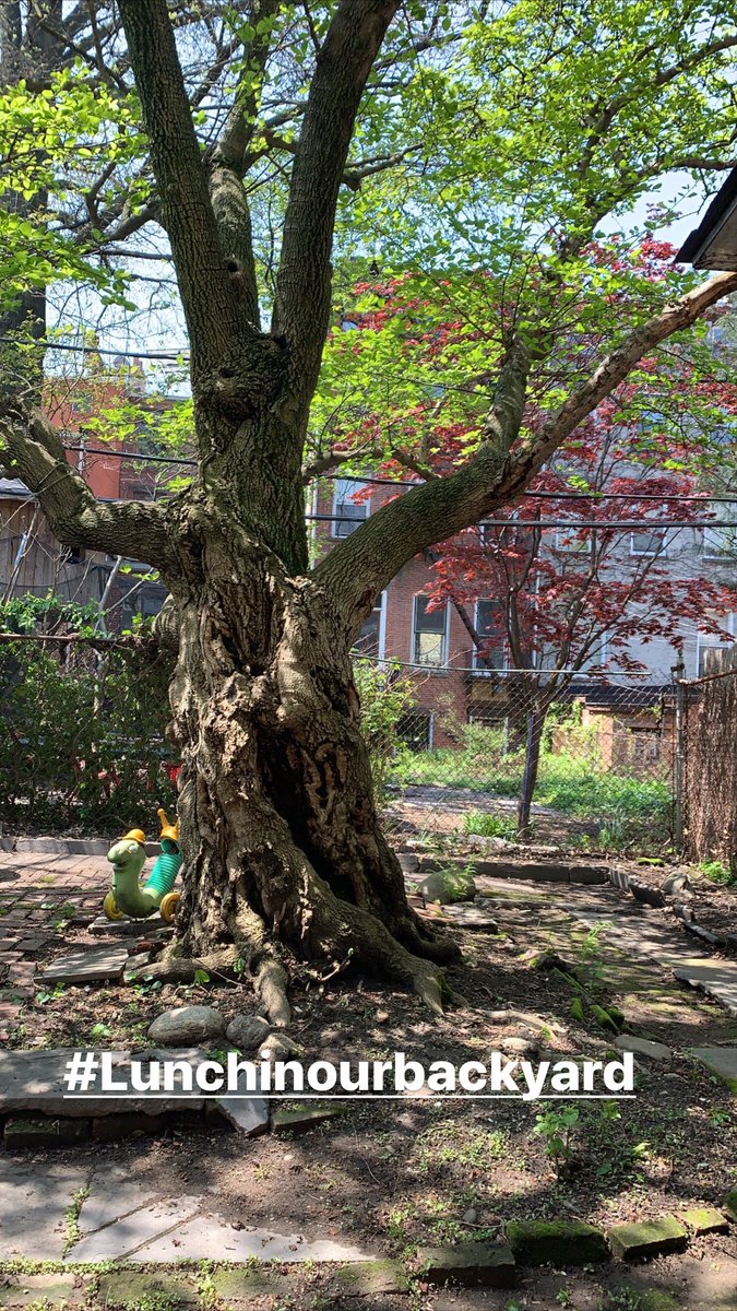 Raystacksem's tweet image. Litty by 2pm, who said we needed brunch to feel this way 😂😂😂