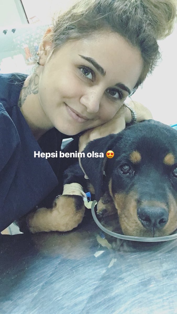 Hayatımda verdiğim en doğru karar meslek seçimim oldu, o zaman kutlu olsun ✨ #DünyaVeterinerHekimlerGünü