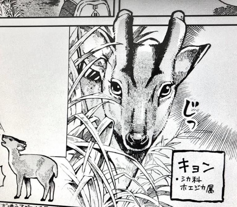 こうなりました 