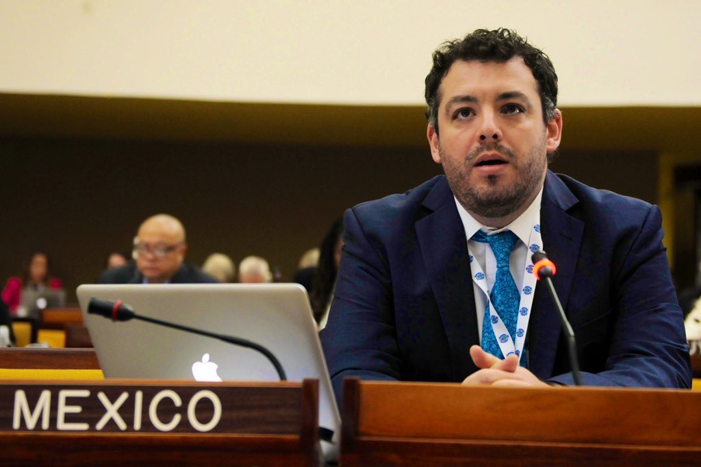 The @UN General Assembly recognized April 25 as #delegatesday, in recognition of the crucial role of delegates in fulfilling the main goals of 🇺🇳. To represent 🇲🇽 in the @ISBAHQ has been one of the greateat honors in my carreer. @SRE_mx @mwlodge @AlfonsoAscenci6
