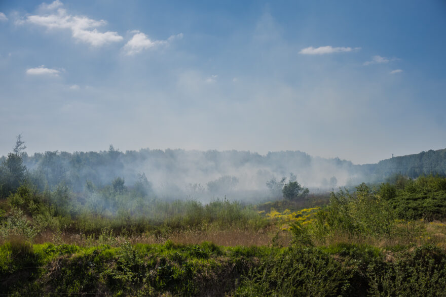 Brandweer blust grote natuurbrand in Zoetermeer -..