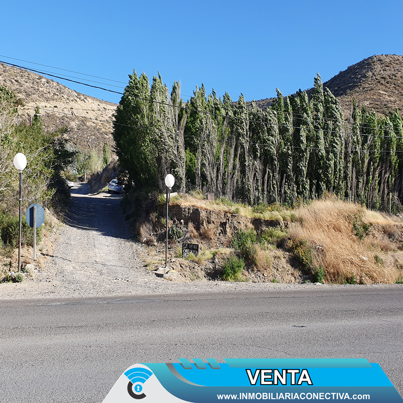 conectiva's tweet image. EN VENTA - #ComodoroRivadavia 
Terreno en B° Saavedra
Todos los servicios 
Forestación 
Loteo Battistina
500 m2 (12.50x40)
TITUTLO 
info@inmobiliariaconectiva.com
TEL 0297-4060578
WPP 2974374743
HOR DE LUN A VIER 9 HS A 15HS 
ESPAÑA 702
Andrea Popich 
#conectivainmobiliaria