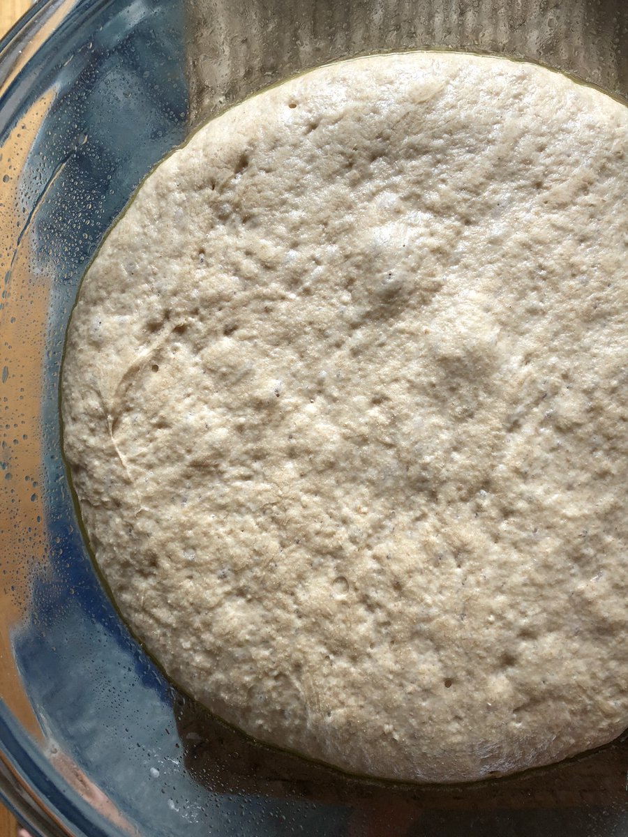 SkeeterNYC's tweet image. Pizza from scratch w/Carolina Ground bread flour from North Carolina. A monster pie. Vodka sauce, havarti, pecorino, mozzarella. Also, yes, I need a real pizza pan #IsolationBaking