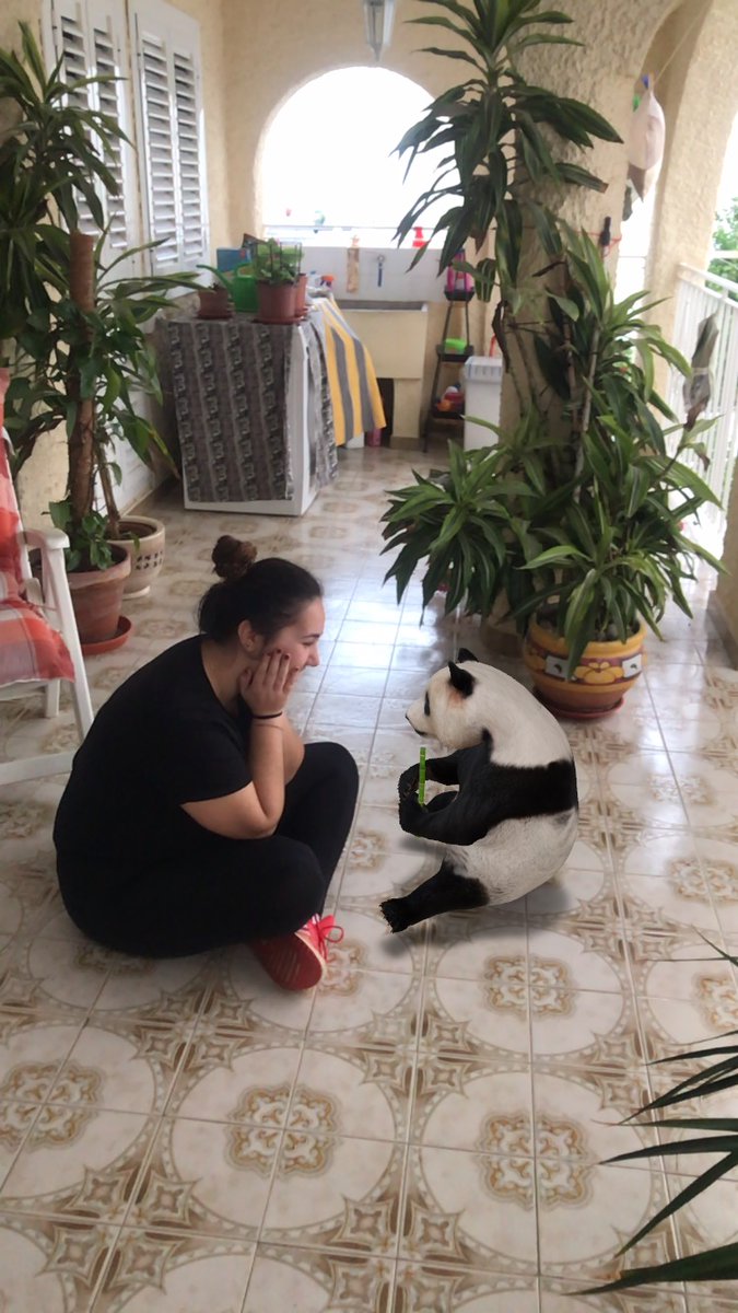 SotanoTic's tweet photo. Hoy hemos participado en la asamblea de @cuatromtic y, además, en el sótano de tic tenemos nueva integrante, Maggie (la perrita de Ana) ha decidido unirse y participar🐶🐼 ¡Nos ha encantado la asamblea chicas!🥰 #CHALLENGEREALIDADAENTADA #mmtic3 https://t.co/TN7YLg8GaB
