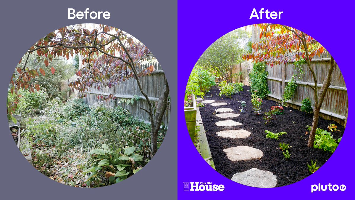 Pluto TV tweet media