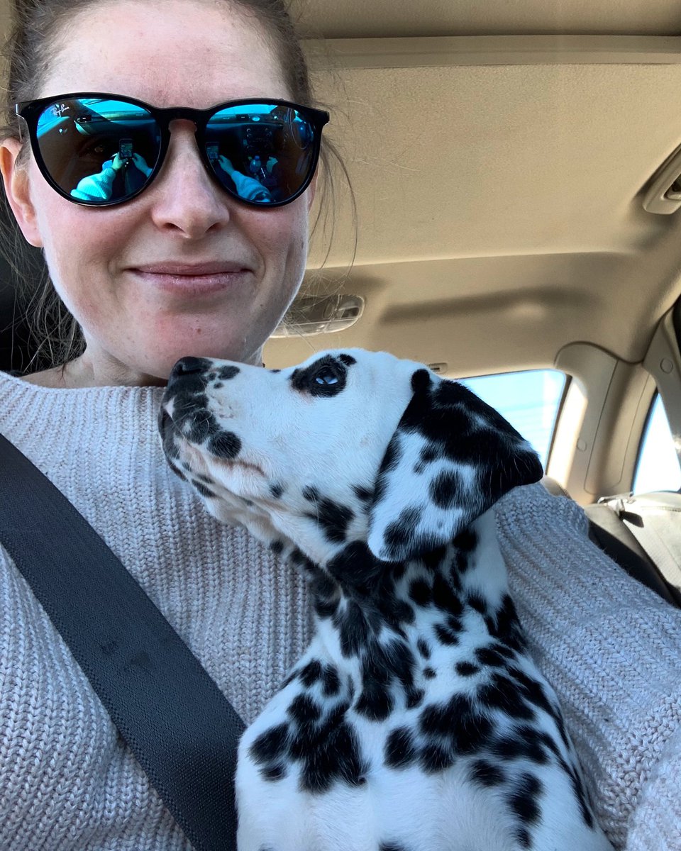 In love !! My new man Zeke is killing me with those puppy dog eyes !