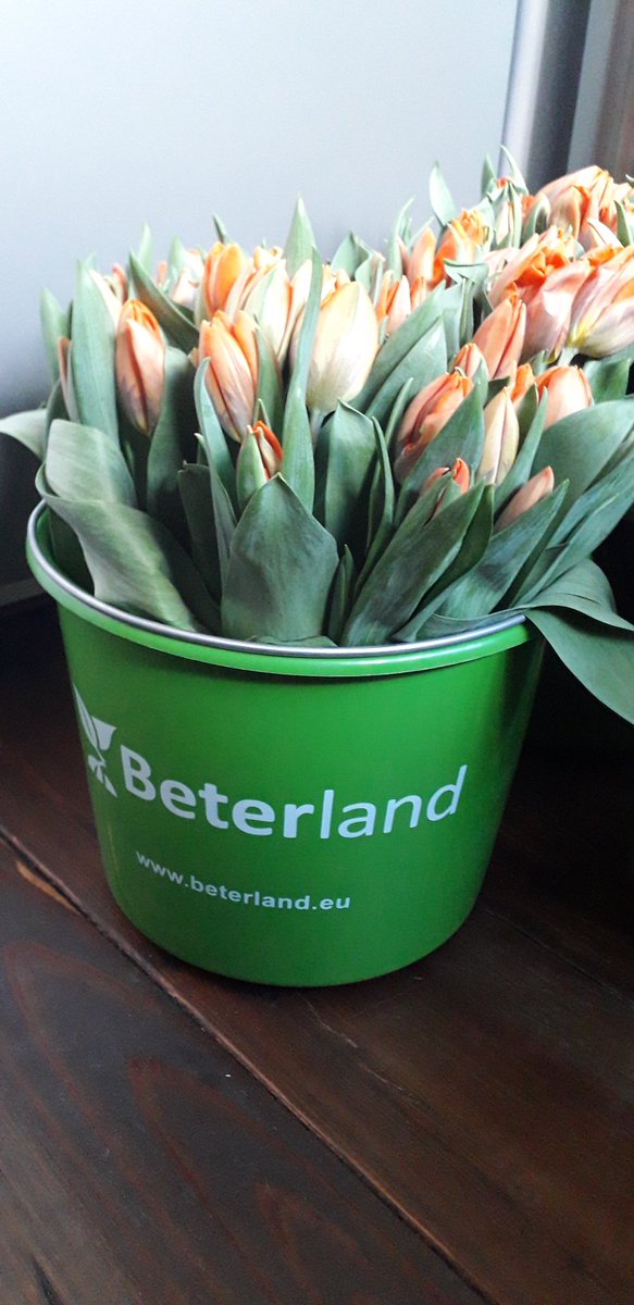 leoloodgieter's tweet photo. Vandaag de #tulpen van#tulpenvoortoppers gekregen en uitgedeeld In #nijverdal, alles voor een #beterland
Komen van a&pflowers #thanks #helpdeboer #koningsdag2020 https://t.co/P1gPpGRmhU
