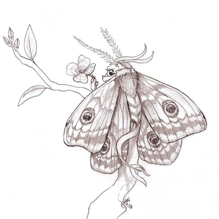 SuziDragonlady's tweet photo. Weekly Sketch #39 - 25th April. A Small Emperor Moth Dragon with a four leaf clover. :) #emperormoth #moth #butterfly #dragon #dragons #fantasy #fairydragon #fantasycreature #creatures #clover #drawings #drawing #sketches #sketch #mothdragon #butterflydragon https://t.co/c7hWmkfdaL