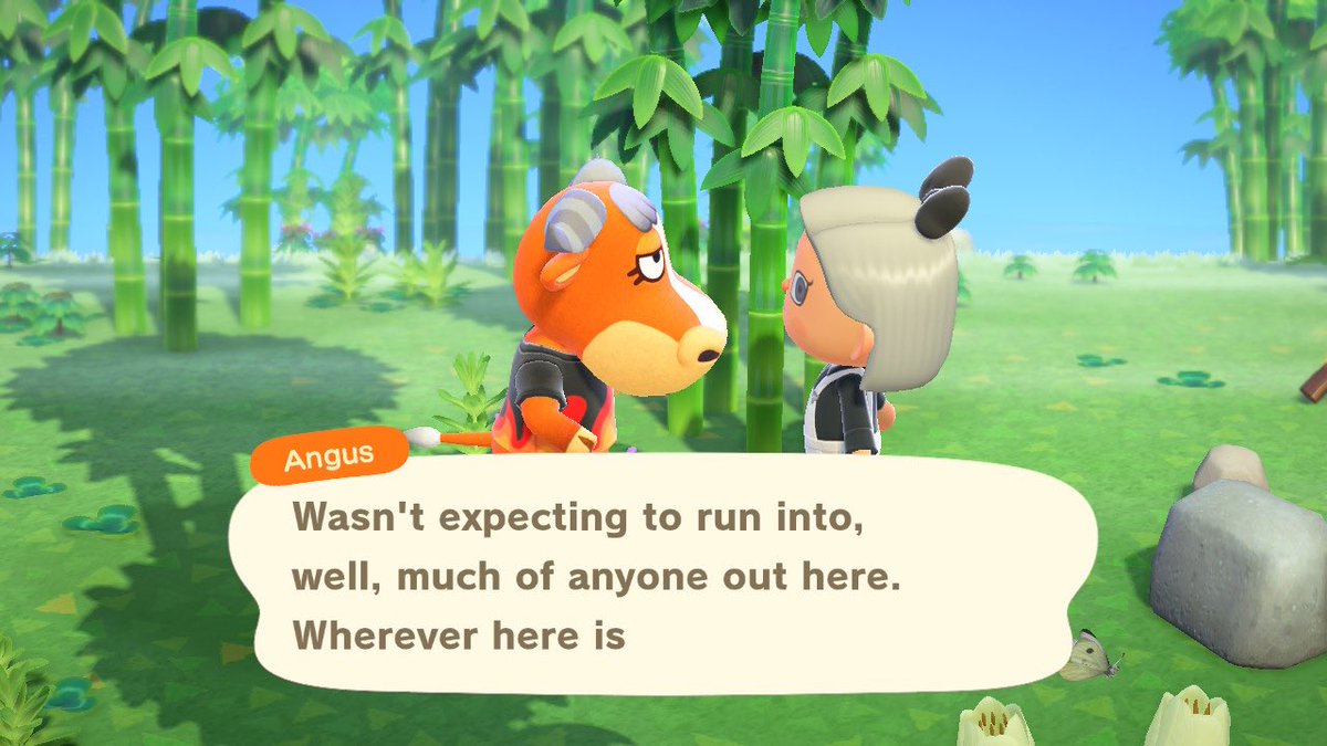 8) Angus, no no no