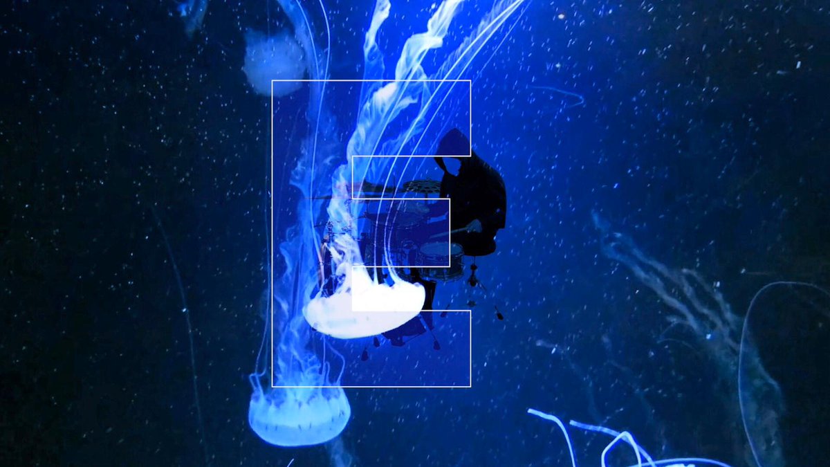 junglemassimo's tweet photo. Jungle is here!! 🌍🎶 Follow below:
https://t.co/0bXs8T7DaN
#jungle #massimorusso #junglemusic #world #musicvideo #YouTube #Oceans #Jellyfish https://t.co/SRl3osxy40