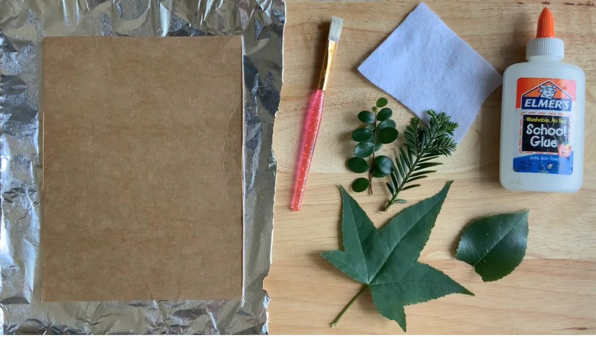 montereyart's tweet photo. Free Family Fun Day Project: Nature Texture Plate! Discover the many different patterns and textures of the natural world by making your own texture plate! Instructions at https://t.co/bTcykU71Yp #freefamilyfunday #virtualmma https://t.co/quiCF9KLCJ