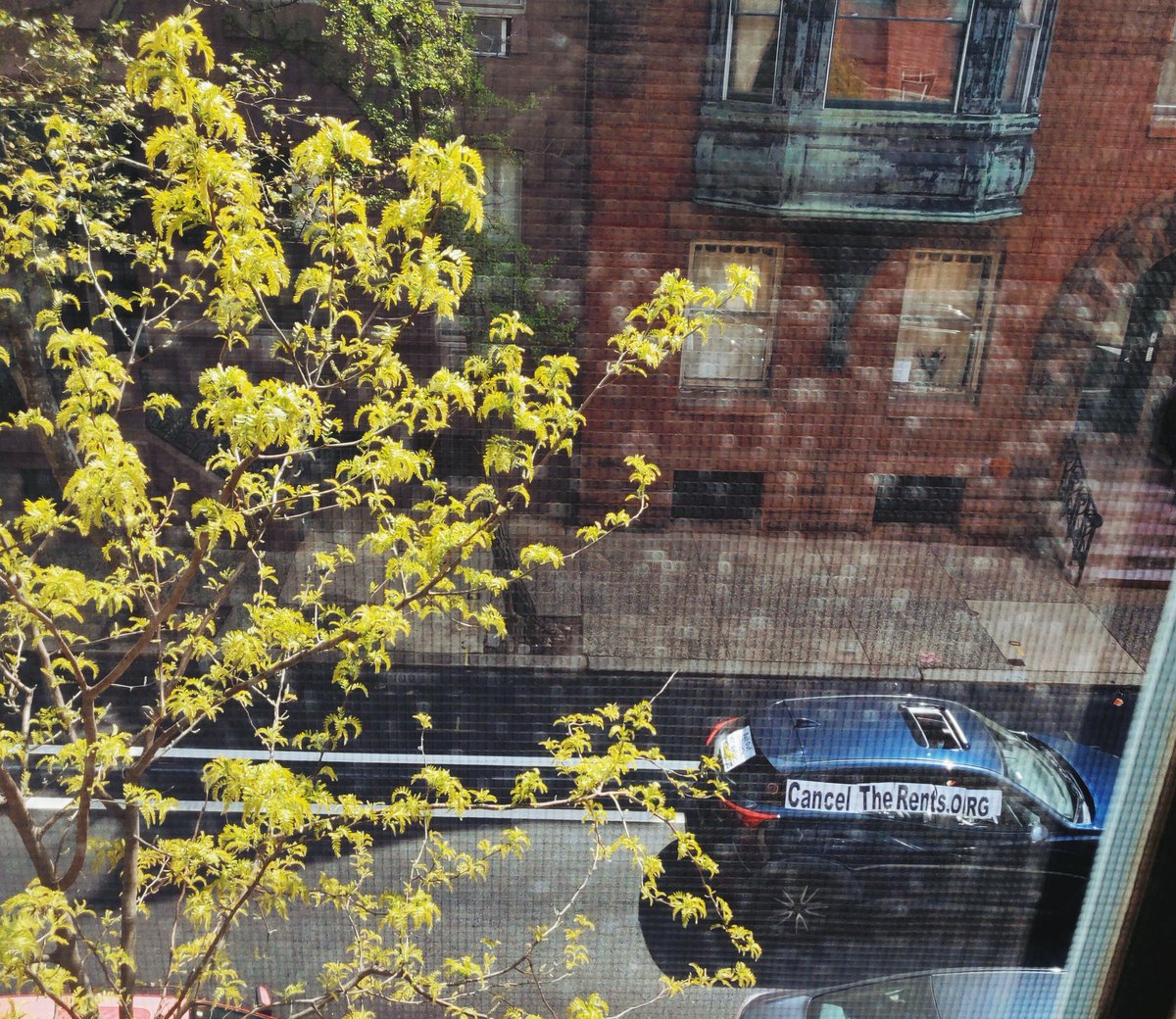 #CancelTheRents protest passing through Philly, boisterous car horns and defiant hoots breaking through the claustrophobic, compartmentalized silence of 'productive' isolation