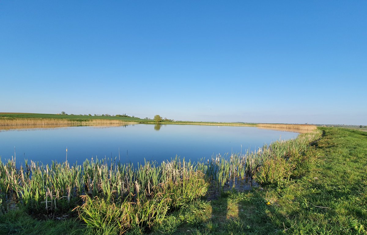 DagmarKirk's tweet photo. A beautiful run round some of @Revnataliea's parishes in @DioceseofEly: Coveney, and a view to Little Downham on the left & the Ship of the Fens, @Ely_Cathedral, just visible above the right edge of the lake. #dailyexercisegift! (And back home via The Bishop's Way, of course.) https://t.co/xlbRf1dhFy