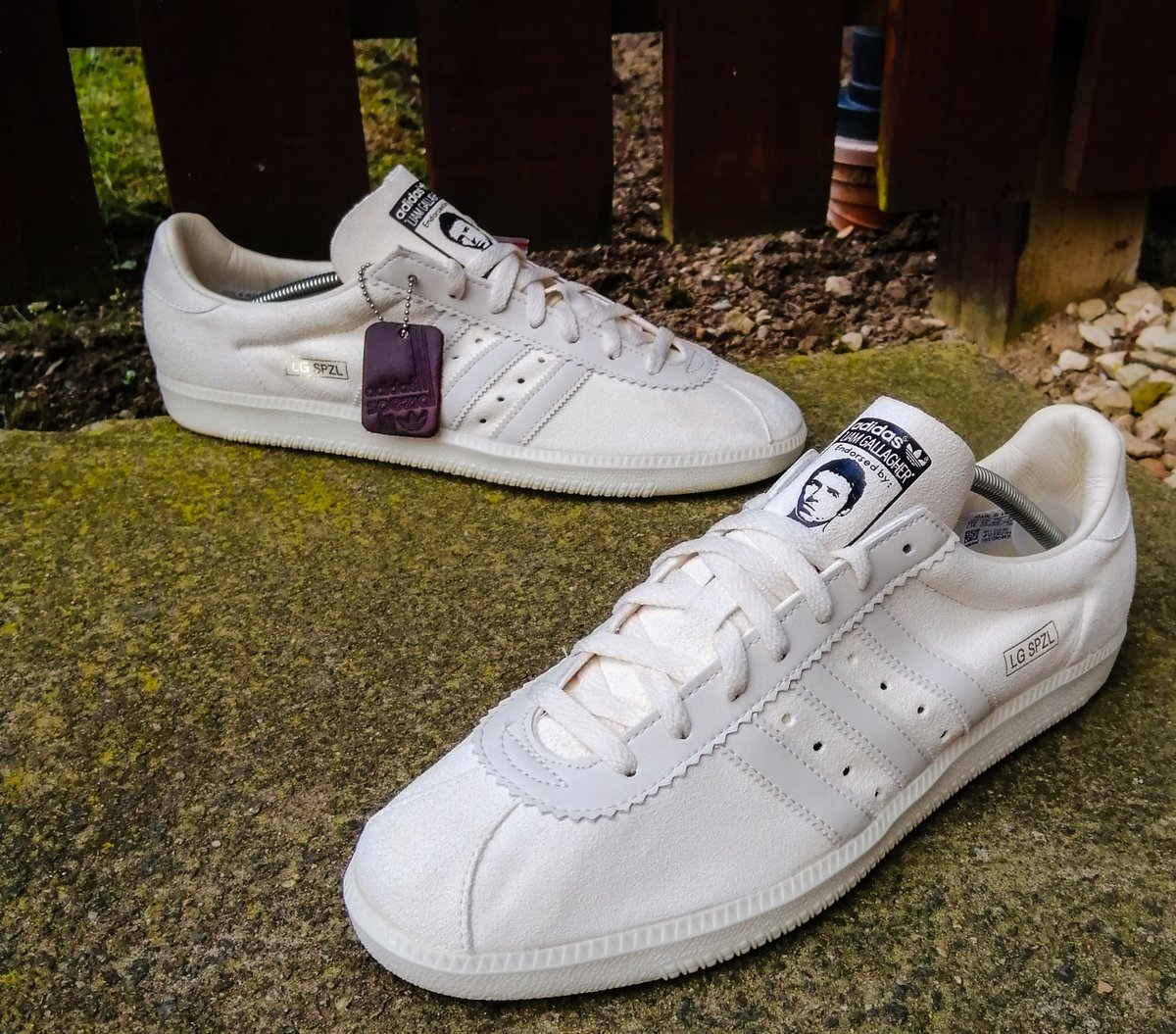 adidas lg spezial