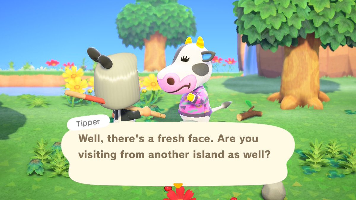 12) Tipper, pretty cute for a cow but no