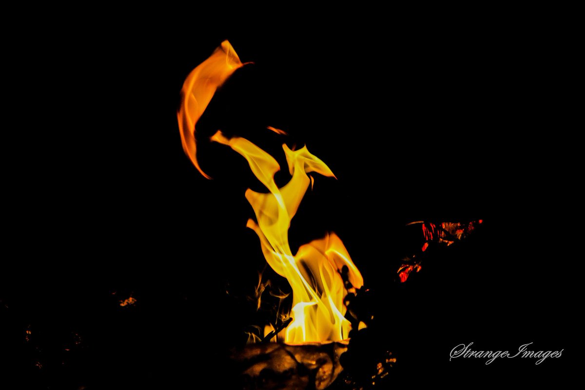 Destrangeimages's tweet photo. Being an artist is the whole essence of photography!

#strangeimages #unapologetical #unique #photography #phonography #creativeshot #naturephotography #stay_safe #level4lockdown #thelifeofanartist #ArtistOnTwitter #TwitterTrendMakers https://t.co/4CW6XwIGOo