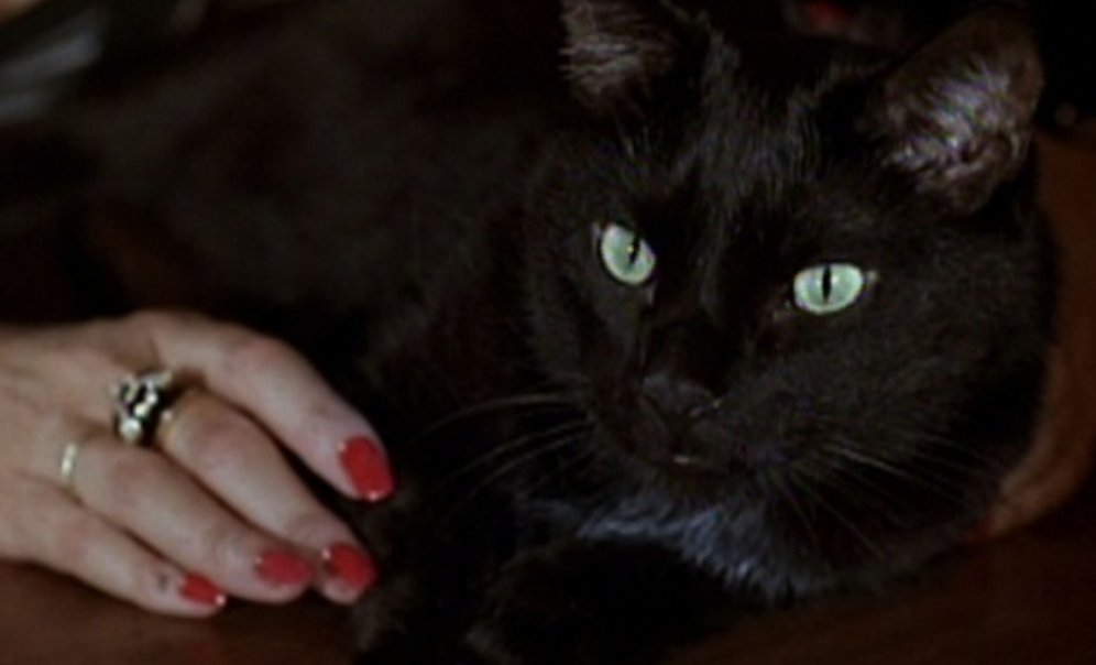 Two Evil Eyes (George Romero & Dario Argento, 1990)Two legends coming together for an Edgar Allan Poe anthology film, Romeros segment is ok but Dario Argentos Black Cat feels like a real celebration of Poe in general