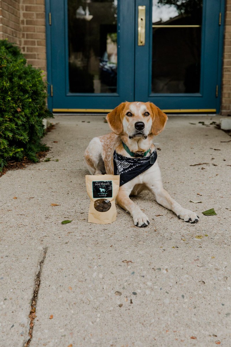 MINGOCBD's tweet photo. We arn't the only one's who benefit from CBD.
___________________________________________
 RETWEET our post to enter yourself into our weekly give-a-way!   Choosing 1 winner every Sunday at 12am PST.   https://t.co/anLmV4MaPc  #CBD #CBDGiveaway https://t.co/8qVsn90H9p