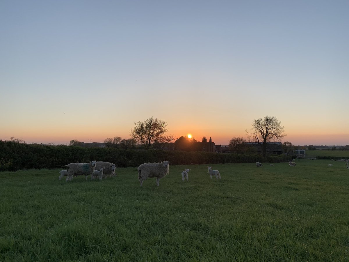 Heather Whitaker tweet media