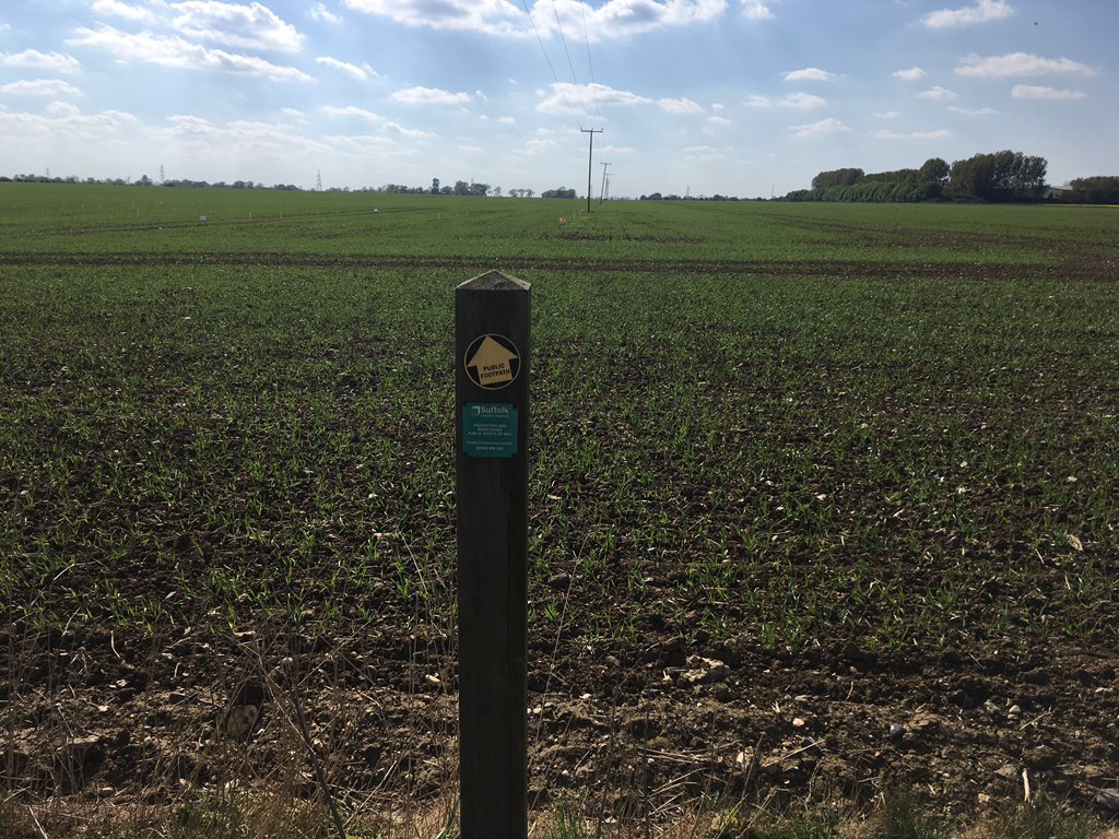 Landspacedesign's tweet photo. Can anyone explain footpaths that run through freshly sown farmers fields- to walk or not to walk ?? @NFUtweets @ukfootpaths @UKWalking #publicfootpaths #walking #ukwalking @nationaltrust @WalksAndWalking @CountrysideProp @country @CountryWalkers https://t.co/UaIg5U7uAP