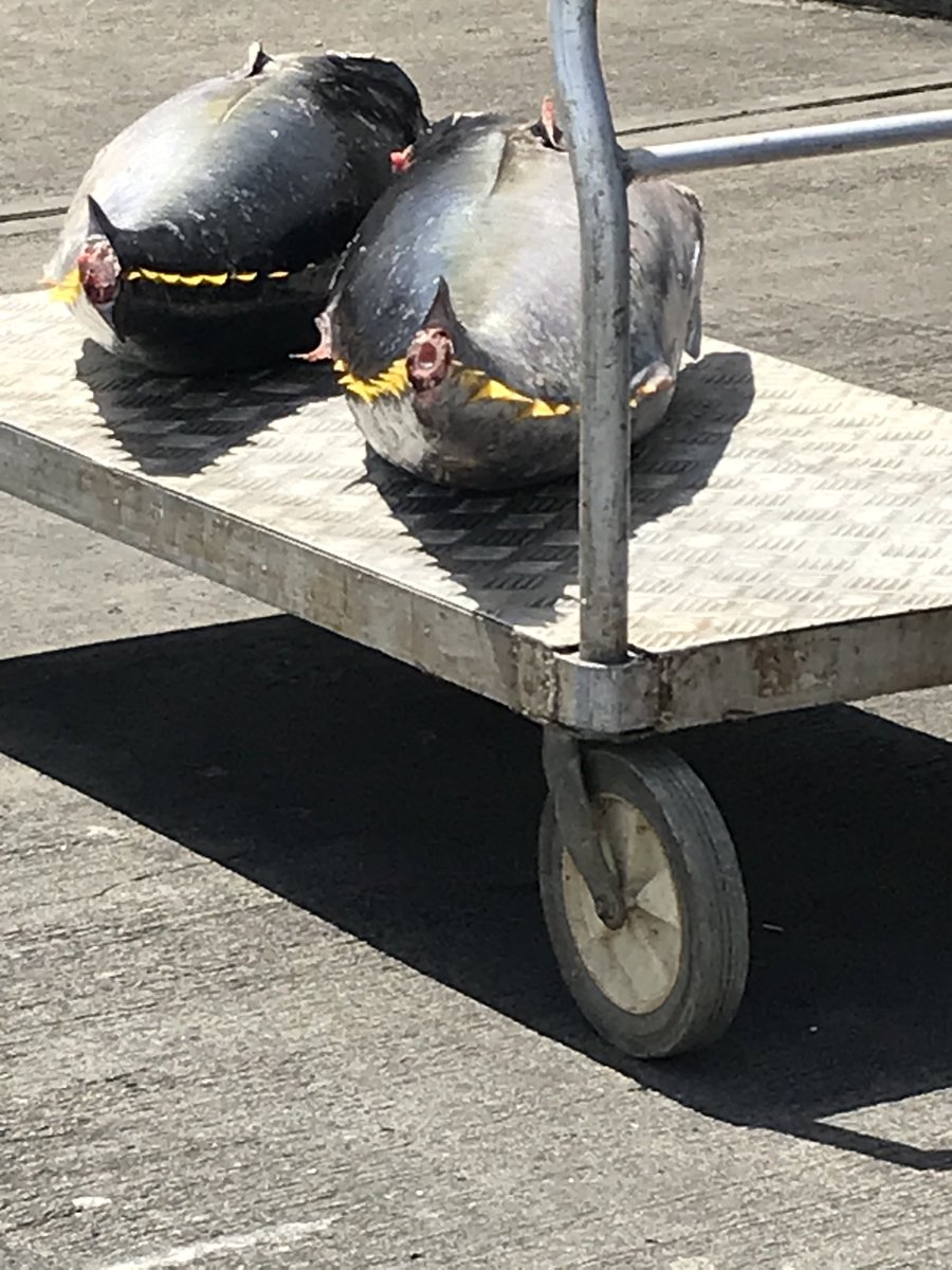 On lockdown in Grenada but boy I am eating very well. Ainsley where are you when I need you!!