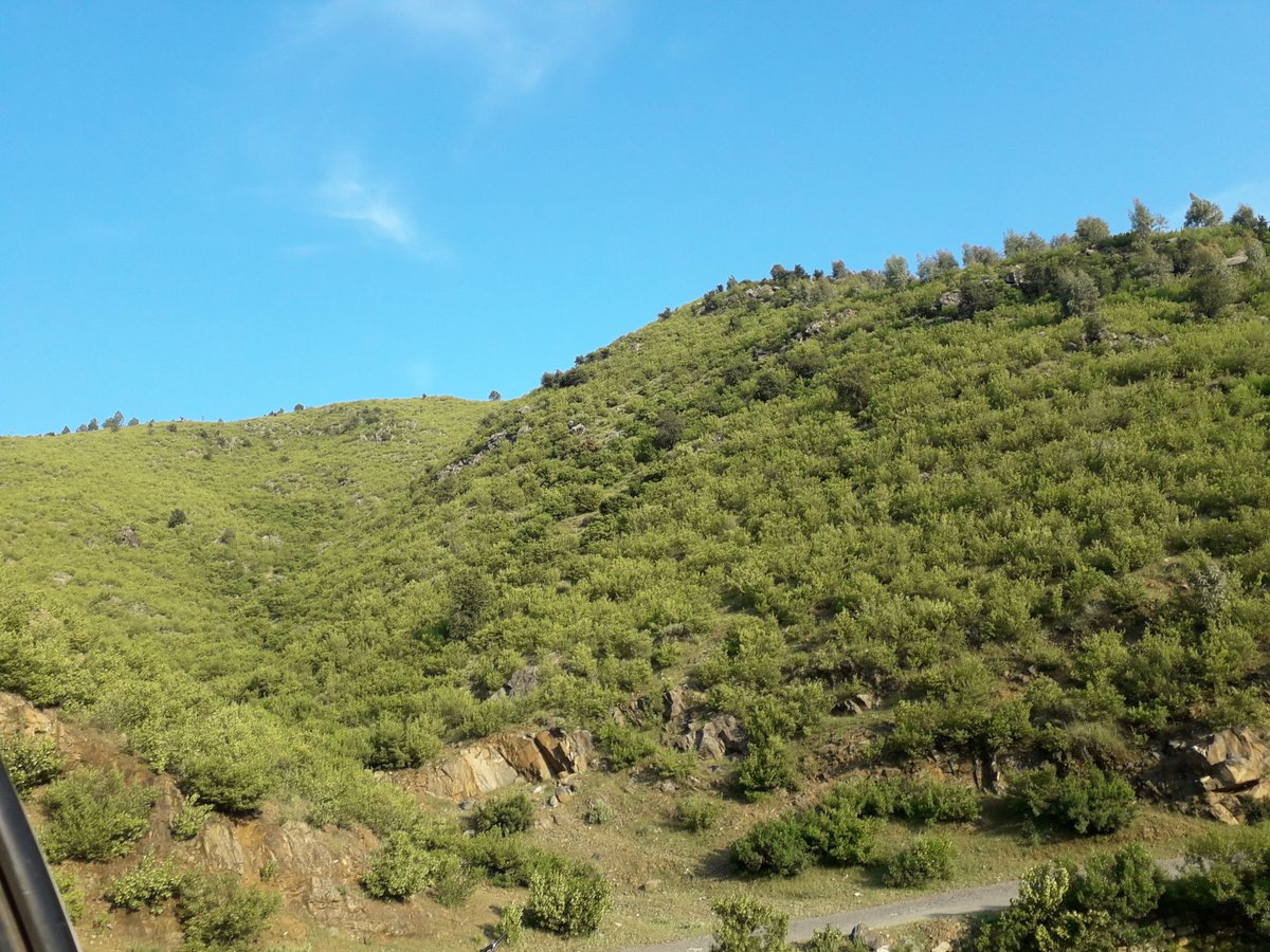 usfzaii's tweet photo. #Dirkpk #nature #timergarah #Pakistan https://t.co/4vMtsh5PTA