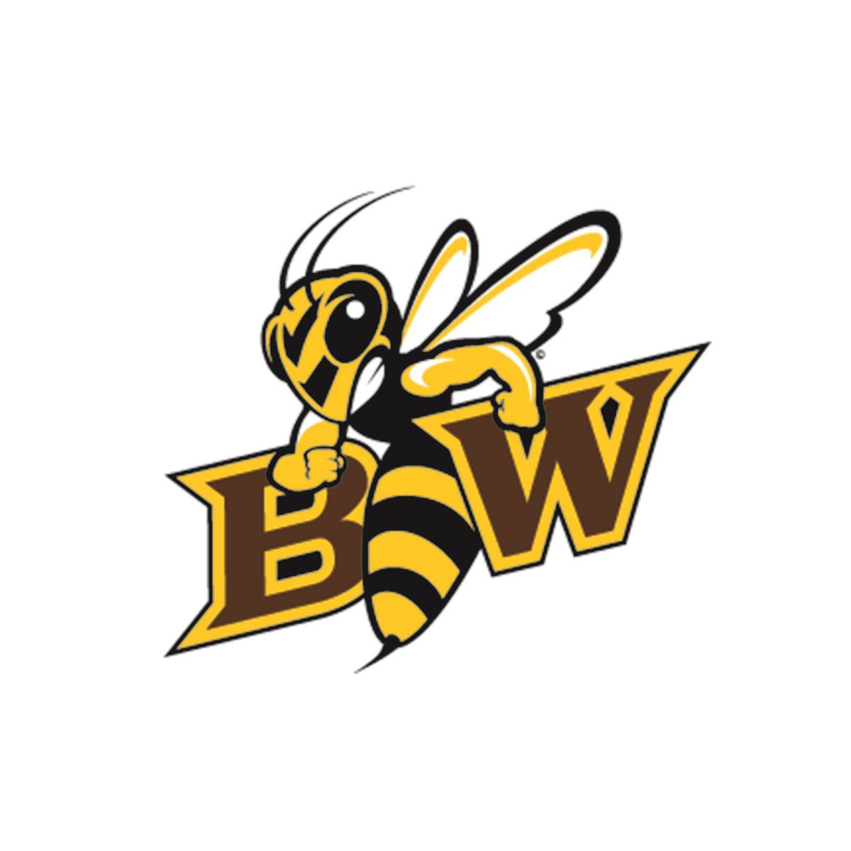 Sadly, my time with @AthleticsBMHS is over, but I am super excited to announce that I made the Baldwin Wallace cheer team and will be continuing my athletic career and education as a Yellow Jacket!  I can’t wait to be back on the sidelines as a cheerleader! #AWWJACKETS 🐝✨