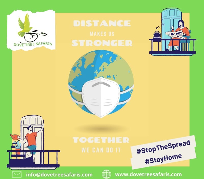 Let's all stay safe, let's stay home, let's fight the virus, let's fight it's spread.

#StopTheSpreadOfCorona #pandemic #Covid_19 #stayhome #StaySafeStayHome #stayactive #StayHealthyAndHappy   #level4lockdown #LetsFightCoronaTogether #TravelTomorrow