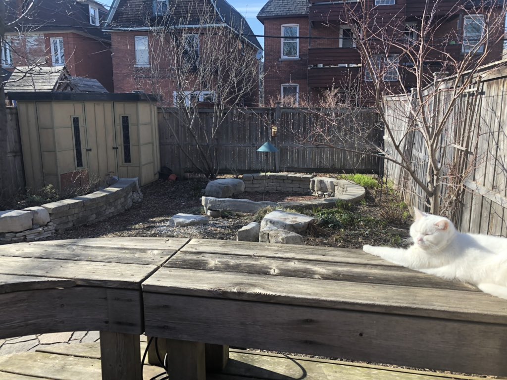 Day 4/7 of my life in pictures. No people, no description. 

I challenge @sarahcoxSDWG. I know she’s got some good ones!