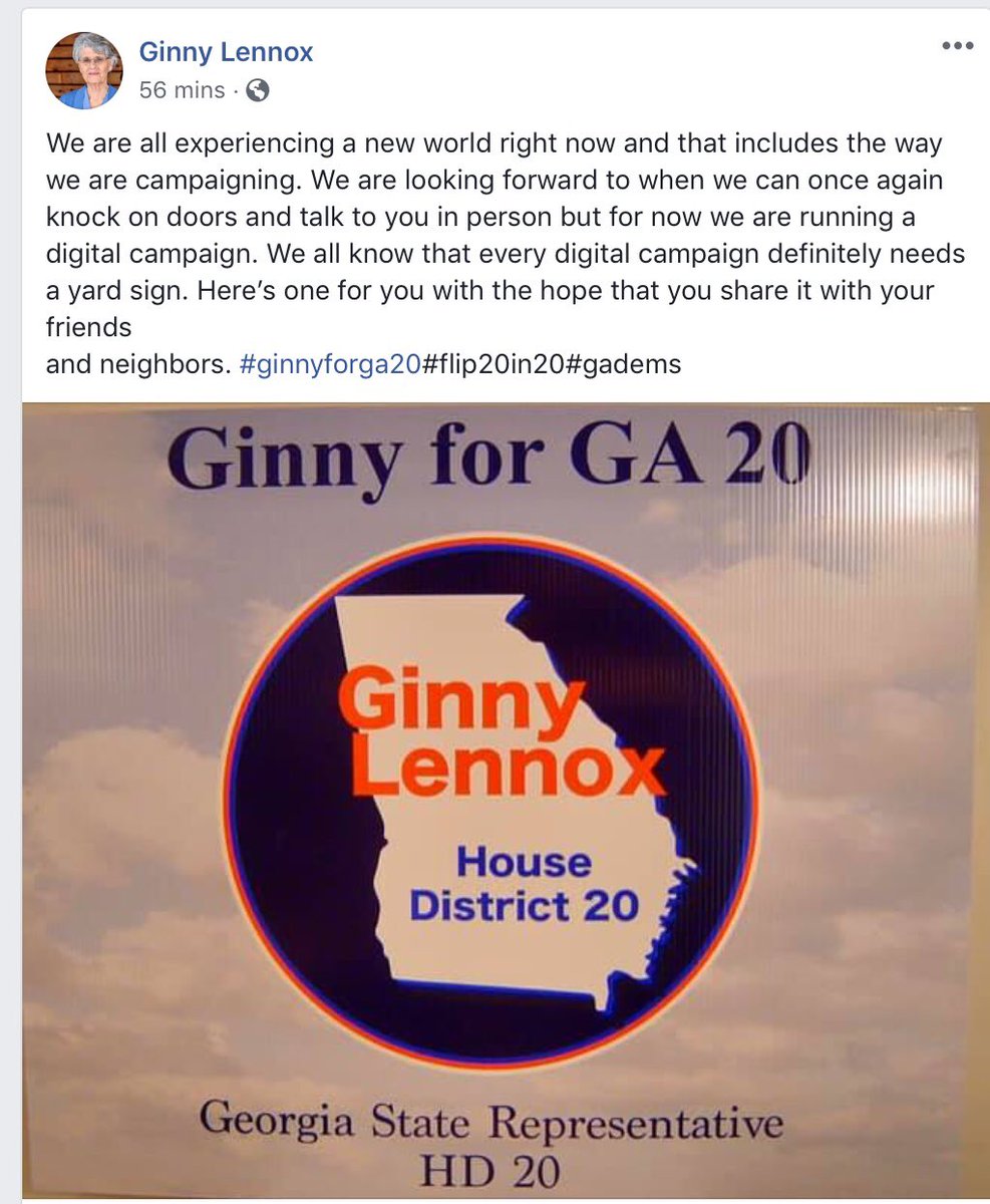 ginnyforga20's tweet photo. Let’s flip GA HD 20 in 2020! https://t.co/wnuDt1cCWa