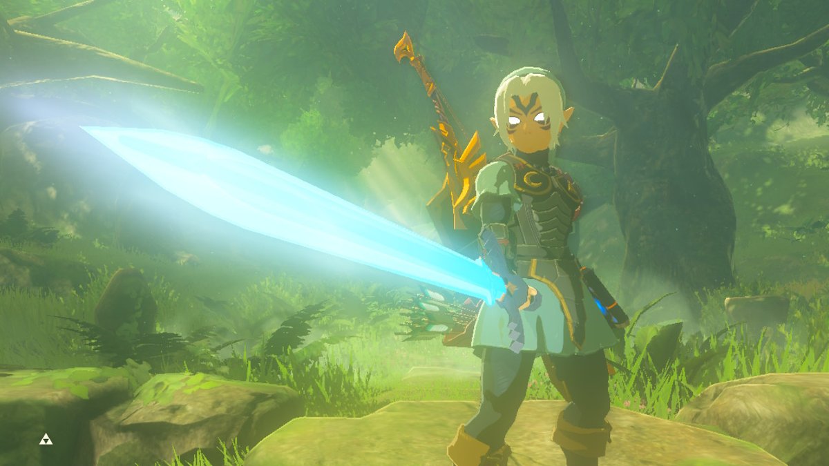 bbbuzhenxi's tweet photo. #BreathoftheWild #NintendoSwitch https://t.co/qNfeyepTD0