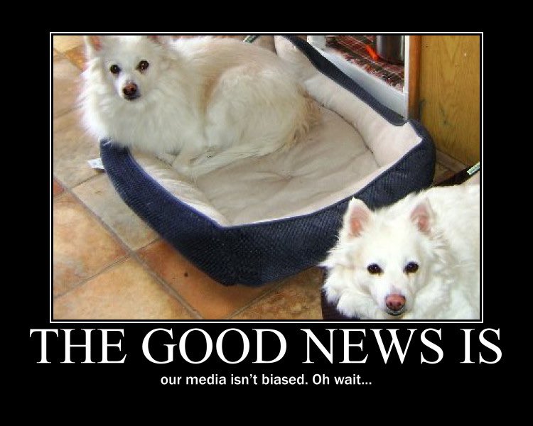 Because we all love good news! And doggos.  https://twitter.com/skywalk34299768/status/1254149153518546944?s=21  https://twitter.com/Skywalk34299768/status/1254149153518546944