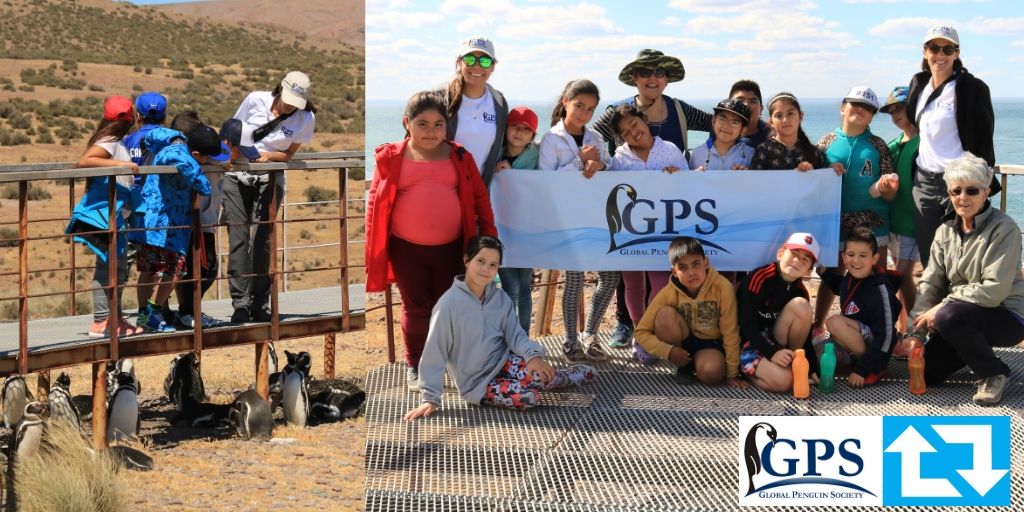 #DíaMundialdelPingüino. Conservación para el futuro: Llevamos miles de niños a visitar a los #pingüinos en países en desarrollo.globalpenguinsociety.org