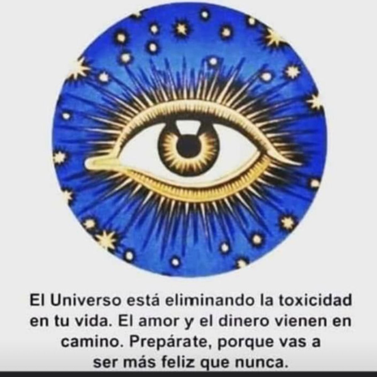 MRL_FRAGA's tweet photo. https://t.co/FFDmOeHrt8