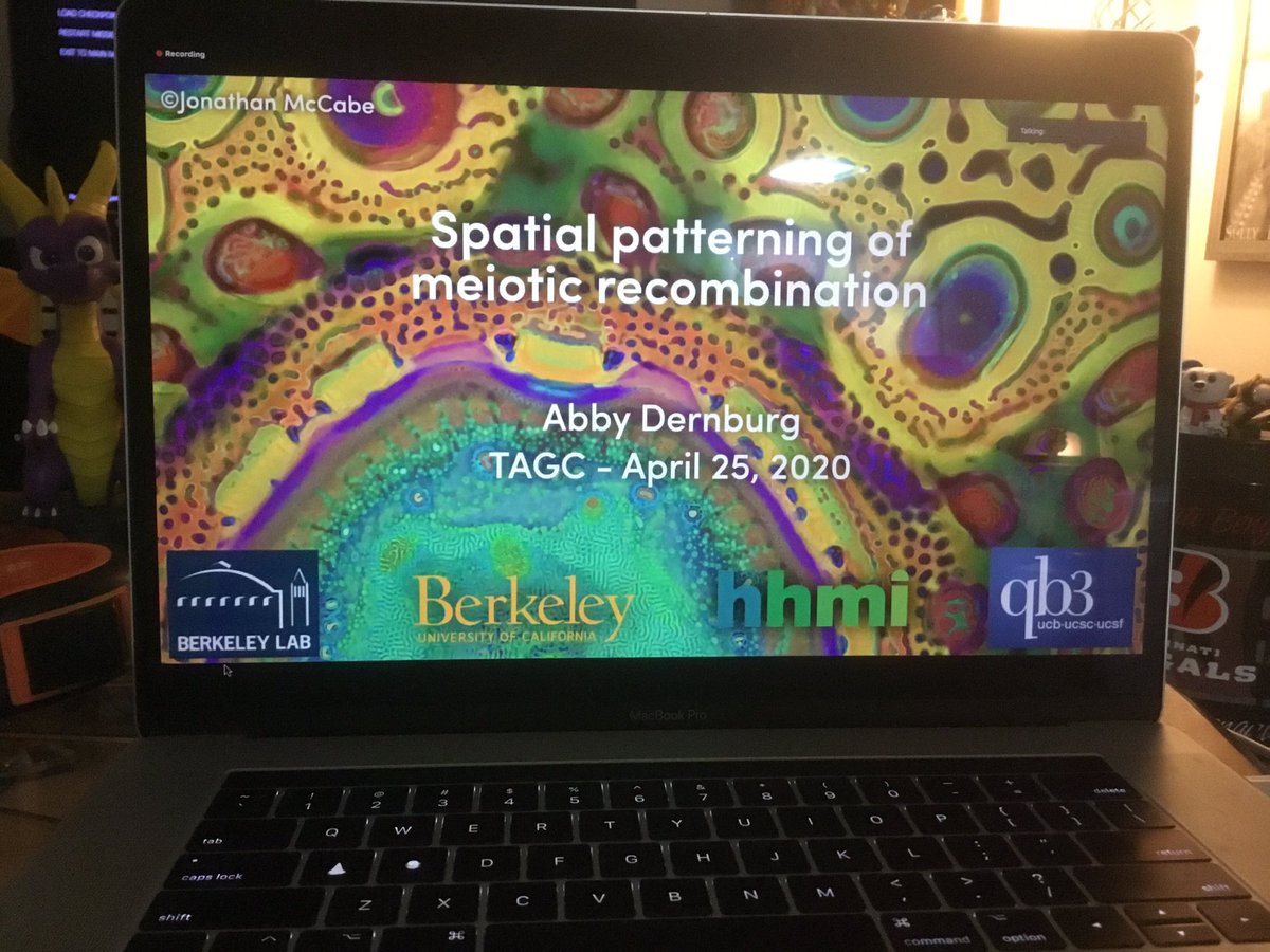 BalintZKacsoh's tweet photo. Very nice talk by @adernburg on spatial patterning of meiotic recombination. I really liked setting up the talk via the unasnwered questions by holiday #TAGC20 #worm20 a real tour de force of science! Staining, tagging, live imaging, physiology changes, liquid crystals,and more! https://t.co/nvnO5MADaJ