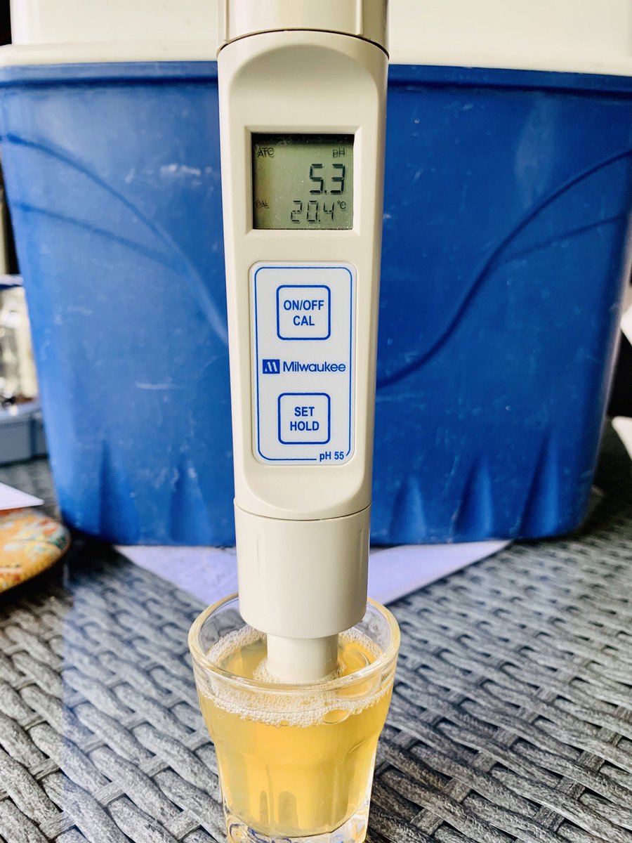 PachaBeer's tweet image. Nueva India Pale Ale ❤️!!! En los parámetros más bajos del estilo (21A-BJCP2015-GI-E): D.O.: 1051, SRM: 5, IBUs: 40, BU:GU: 0,8. Lúpulos Mandarina Bavaria 🇩🇪 y Amarillo 🇺🇸, solo en whirpool!!! A fermentar... Cheers 🍻!!!