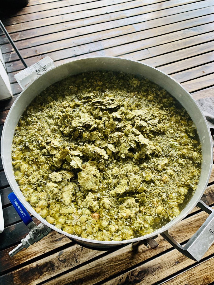 PachaBeer's tweet image. Nueva India Pale Ale ❤️!!! En los parámetros más bajos del estilo (21A-BJCP2015-GI-E): D.O.: 1051, SRM: 5, IBUs: 40, BU:GU: 0,8. Lúpulos Mandarina Bavaria 🇩🇪 y Amarillo 🇺🇸, solo en whirpool!!! A fermentar... Cheers 🍻!!!