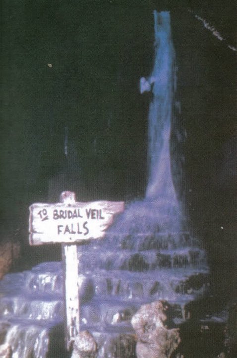DiscoverylandVC's tweet photo. A camera flash would wash out the color, but not using one would result in dark photos. Only a few professional photos exist, and even some of those were staged with additional lighting. For those reasons, photos are scarce. 2/2 https://t.co/GW9JG0ks8b