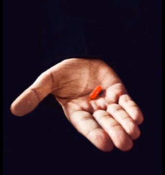 RayPl4yTTV's tweet image. Alright which one