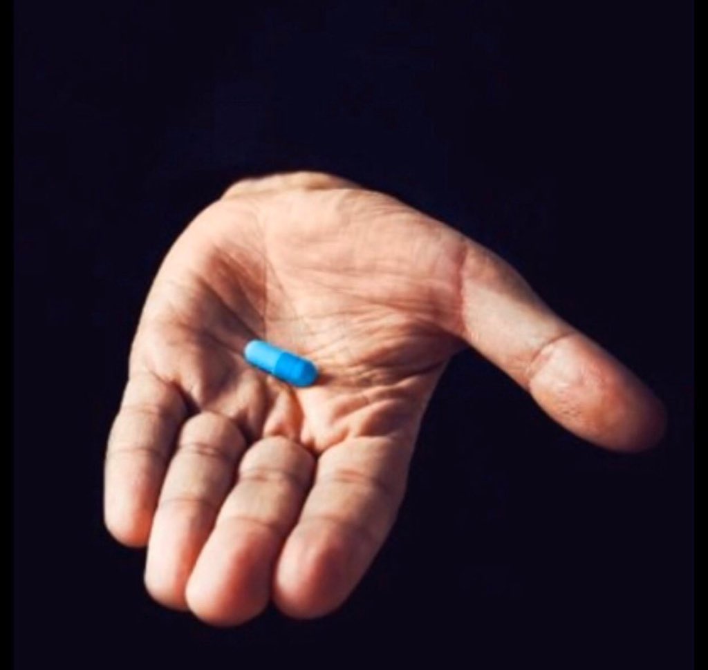 RayPl4yTTV's tweet image. Alright which one