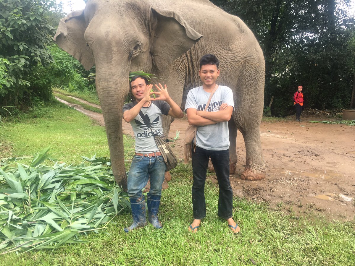 carlakent1972's tweet image. How sad, I spent a week at this project in the jungle. Had an amazing time. I’m glad all the Karen Hill tribe people are ok aswell as the elephants and#journeytofreedom #JTF 💕🐘🐘🐘#ethicalelephanttourism #rideabikenotanelephant